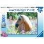 Puzzle Calut Pe Camp De Flori, 300 Piese Ravensburger - 2